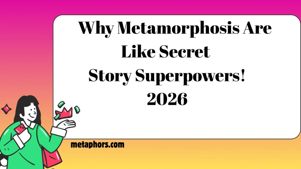 Like Secret Story2026