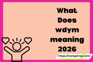 wdym meaning2026