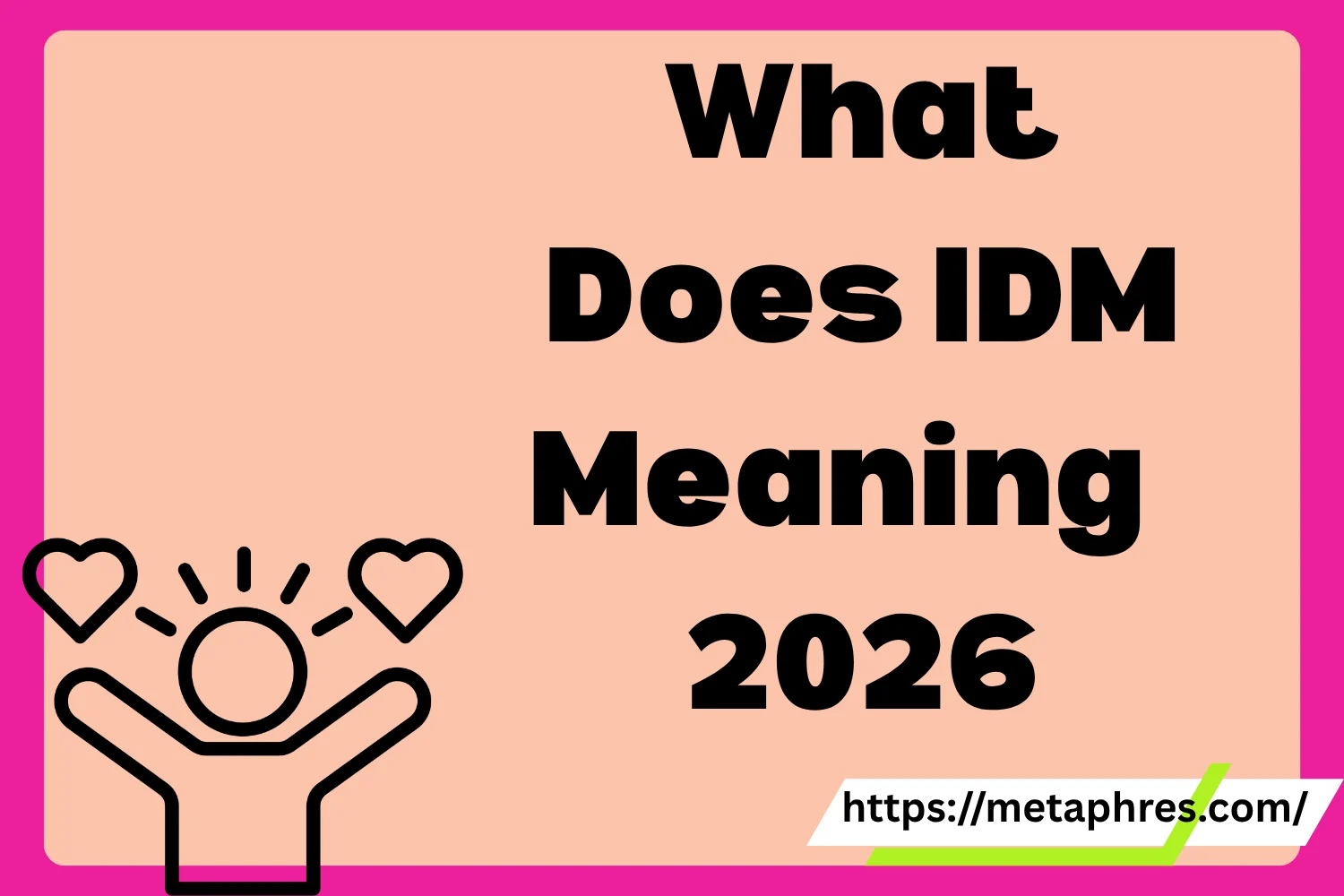 IDM Meaning2026