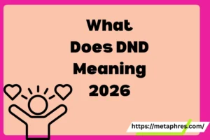 What Does DND Meaning2026
