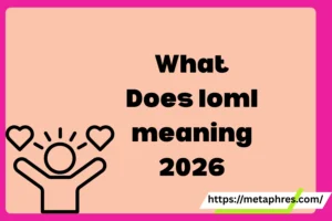 loml meaning2026